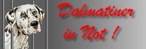 Damatiner in Not!