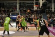 Thumbs/tn_IMG_6554.jpg