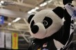 Thumbs/tn_IMG_6725.jpg