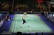 Thumbs/tn_IMG_9385.jpg