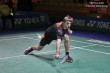 Thumbs/tn_IMG_9667.jpg