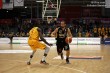 Thumbs/tn_IMG_1341.jpg