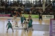 Thumbs/tn_IMG_3789.jpg