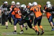 Thumbs/tn_IMG_5119.jpg