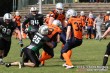 Thumbs/tn_IMG_5164.jpg