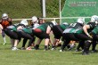 Thumbs/tn_IMG_5270.jpg