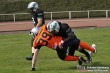 Thumbs/tn_IMG_5338.jpg