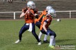 Thumbs/tn_IMG_5364.jpg