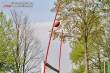 Thumbs/tn_IMG_5529.jpg