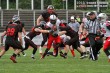 Thumbs/tn_IMG_5981.jpg