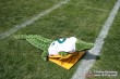 Thumbs/tn_IMG_6899.jpg