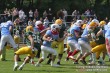 Thumbs/tn_IMG_7498.jpg