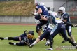 Thumbs/tn_IMG_8164.jpg