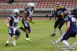 Thumbs/tn_IMG_8187.jpg