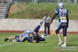 Thumbs/tn_IMG_8276.jpg