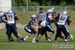 Thumbs/tn_IMG_8425.jpg
