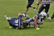 Thumbs/tn_IMG_8504.jpg