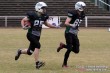 Thumbs/tn_IMG_8697.jpg