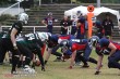 Thumbs/tn_IMG_8708.jpg