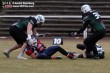 Thumbs/tn_IMG_8722.jpg