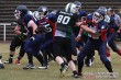 Thumbs/tn_IMG_8728.jpg