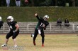 Thumbs/tn_IMG_8792.jpg