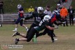 Thumbs/tn_IMG_8860.jpg