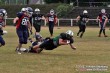 Thumbs/tn_IMG_8995.jpg