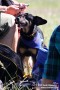 Thumbs/tn_16-16-27_IMG_0006.jpg