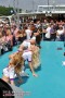 Thumbs/tn_IMG_9770.jpg