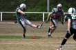 Thumbs/tn_IMG_1354.jpg