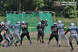 Thumbs/tn_IMG_1372.jpg