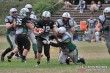 Thumbs/tn_IMG_1676.jpg