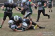 Thumbs/tn_IMG_1693.jpg