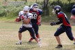Thumbs/tn_OL_010037.jpg