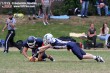 Thumbs/tn_OL_010041.jpg