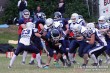 Thumbs/tn_OL_010042.jpg