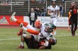 Thumbs/tn_IMG_2292.jpg