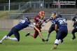 Thumbs/tn_IMG_3392.jpg