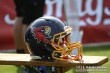 Thumbs/tn_IMG_3565.jpg