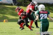 Thumbs/tn_D2_0017.jpg