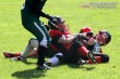 Thumbs/tn_D2_0023.jpg