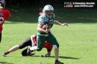 Thumbs/tn_D2_0027.jpg