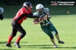 Thumbs/tn_D2_0029.jpg