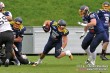 Thumbs/tn_IMG_5823.jpg