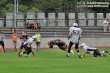 Thumbs/tn_IMG_5893.jpg