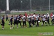 Thumbs/tn_IMG_5998.jpg