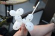 Thumbs/tn_IMG_6325.jpg