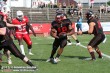 Thumbs/tn_GFL_007.jpg