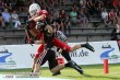 Thumbs/tn_GFL_010.jpg